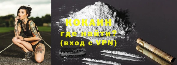 стаф Дмитров