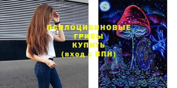 стаф Дмитров