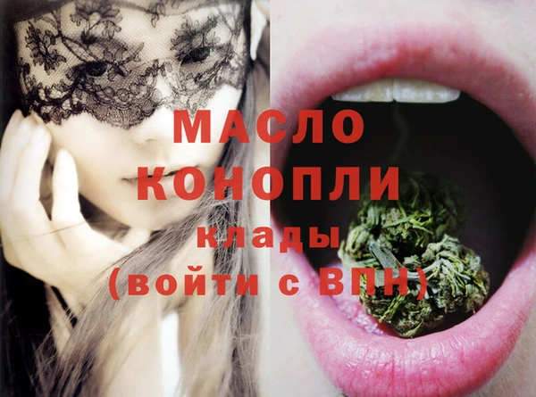стаф Дмитров