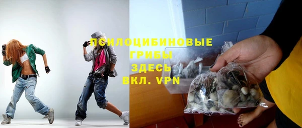 мдма Дмитриев