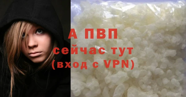 стаф Дмитров