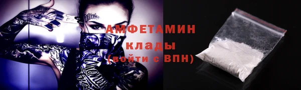 стаф Дмитров