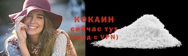 мдма Дмитриев