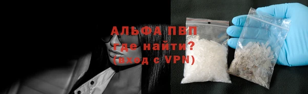 стаф Дмитров