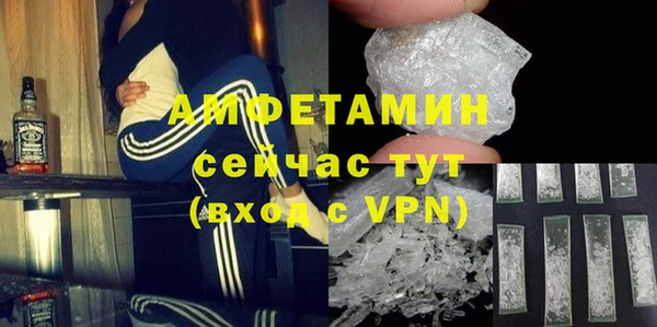 стаф Дмитров