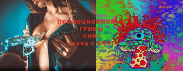 apvp Дмитровск