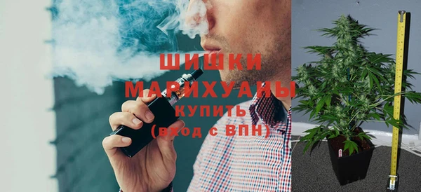 стаф Дмитров