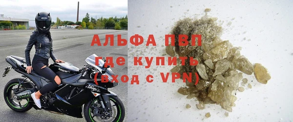 стаф Дмитров