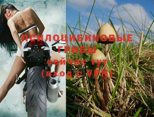 мдма Дмитриев