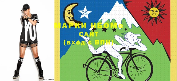 стаф Дмитров