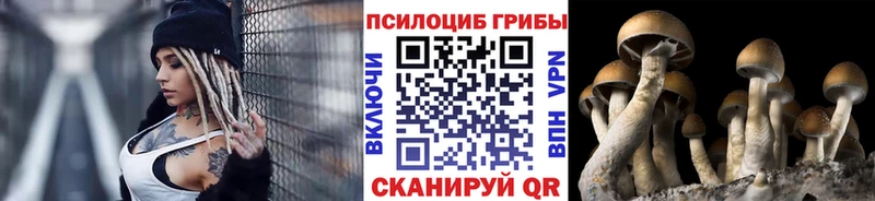 Псилоцибиновые грибы GOLDEN TEACHER  Купить где  Лихославль 